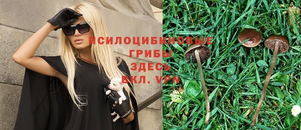 эйфоретик Покачи