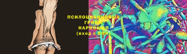 эйфоретик Богородицк