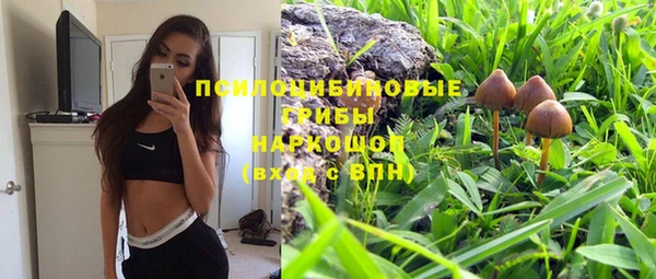 прущие грибы Переславль-Залесский