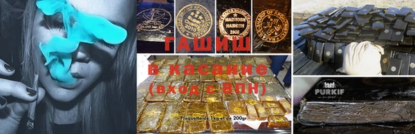 эйфоретик Покачи