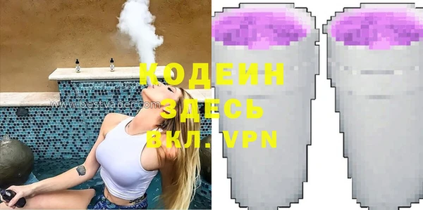эйфоретик Покачи